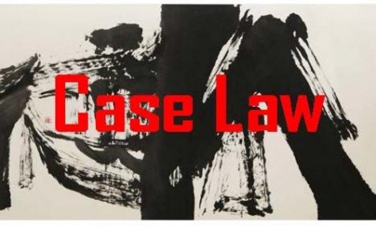 case_law_1.jpg