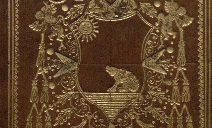 Hedgehog, shown on book binding