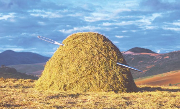 finding-a-needle-in-a-haystack.jpg