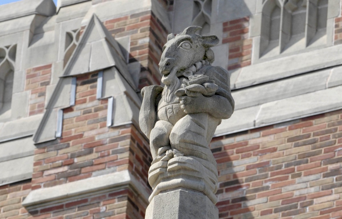 Photograph of a goat gargoyle that adorns the law school outside.