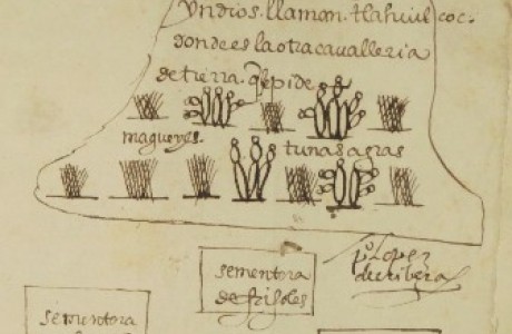 cerro_gordo_inventory.jpg