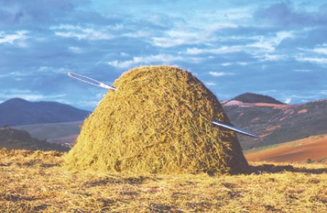 finding-a-needle-in-a-haystack.jpg