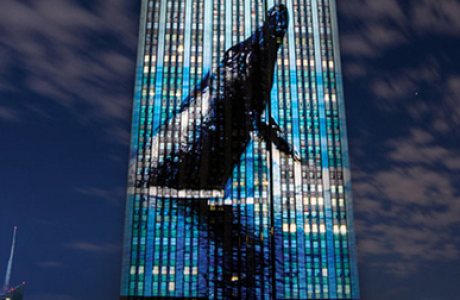 racingextinction.png